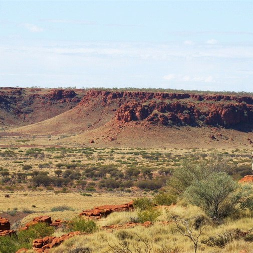 The Explorer - On top of Bocrabee Hill - The Oakover 2009