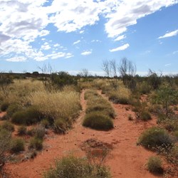 Desert Tracks - heading towards Constance Headland - Little Sandy Desert 2008