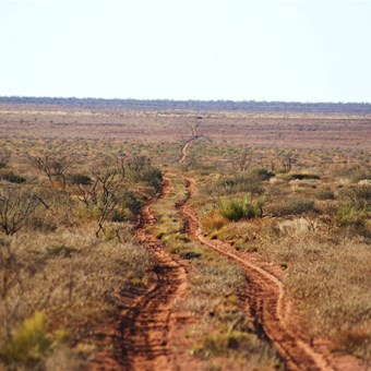 Road to nowhere - Talawana Track