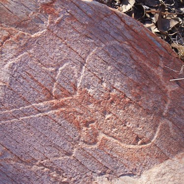 Turtle Glyph - Throssel Ranges - Great Sandy Desert 2008