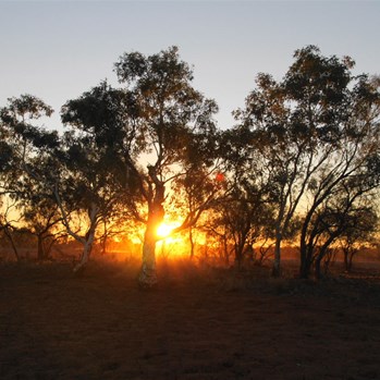 Dusty dusk - Condren Pool WA 2013