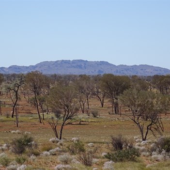 Blackstone Ranges across the Mulga