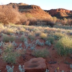 Reminder - Mt Winter 2014