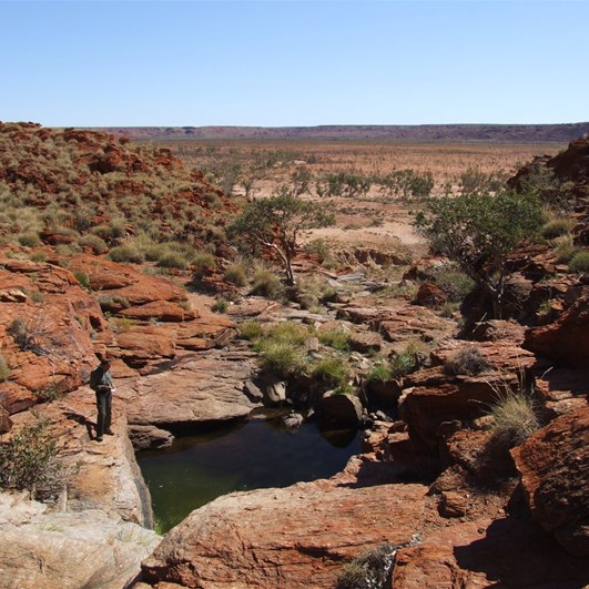 A fantastic discovery - A rockhole high in the Throssell Ranges