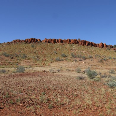 Bocrabee Wildflowers - Heading to the Oakover 2007
