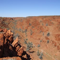 Camel Valley - Rudall River 2008
