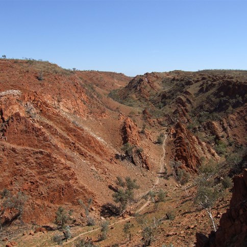 Camel Valley (looking west) - Rudall River 2008