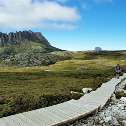 Boardwalk on the Overland track between Marions lookout and Kitchen Hut