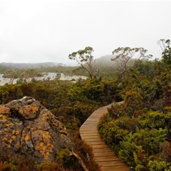 boardwalk near Twisted tarn in Mt Field National Park Tasmania