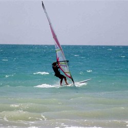 Michelle windsurfing