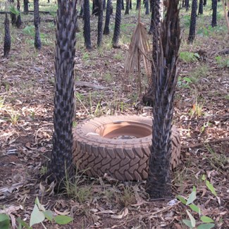 Oh shit...where did that come from? (as if I didn't know!)