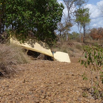 The perils of creek crossings - Carson River Station