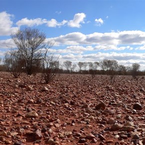 Dry country and gibbers beca,e a familiar sight.