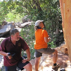 The swimmers art site