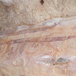 Strange creatures - Little Merton Falls Cavern