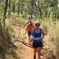 Walking through the woodlands 