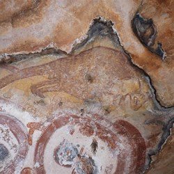 Kanga above the wanjana - KER