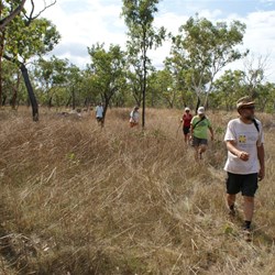 Crossing the grasslands back to camp