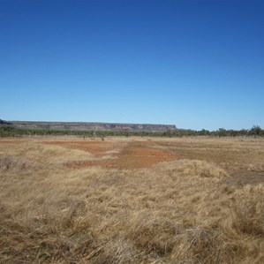 No you see it, now you don't.  Remains of a station track