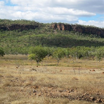 The Carson Escarpment