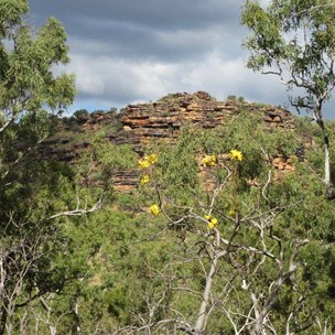 The Carson Escarpment