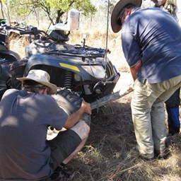 Improvised jack - a tree branch