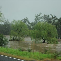 Brogo valley with river in flood
