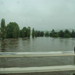 Bega river in flood taken as we drove across the bridge