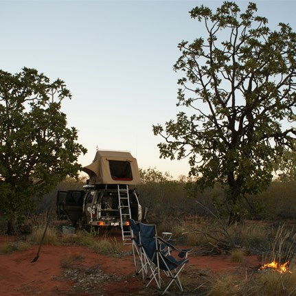 Camp beneath the Desert Walnuts - GSD 2009