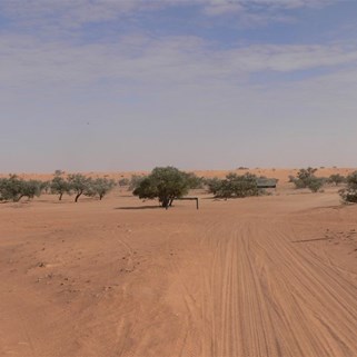 Entering the NP at a bend in the track