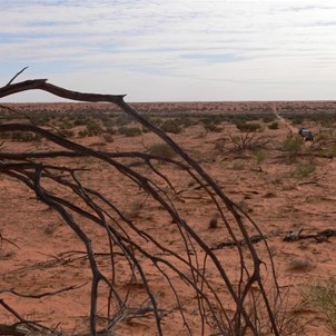The track goes straight ahead