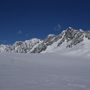 Snowfields atop Franz Joseph