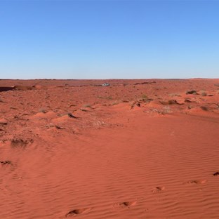 Dave scouts ahead for a way through the dunes