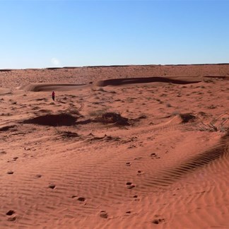 Exploring the dunes