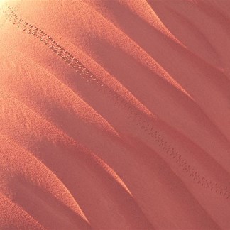 Patterns in the sand - ripples and moth tracks