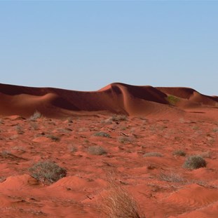 Beautiful sculptured dune