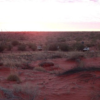 Sunset in a red desert