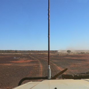 Black gibbers onthe way to Lake Caroline