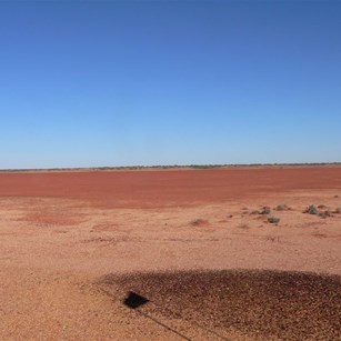 Lake Caroline but no water.