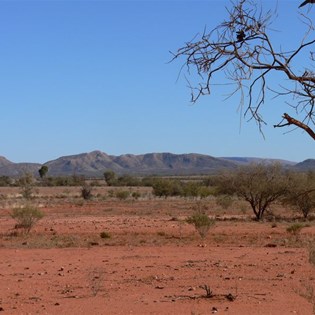East MacDonnell scene
