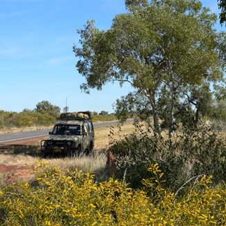 Barkly Highway lined with flowering shrubs