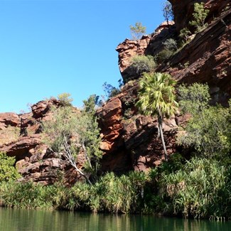 Its worth the effort to see scenes like this