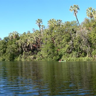 Palms added a tropical note