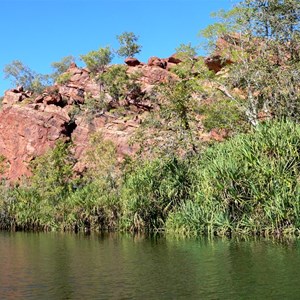 High above the water gums and spinifex cling on dry rocky ledges