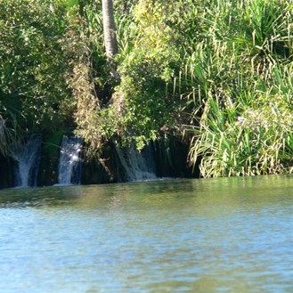 Water tumbles over the tufa dam.