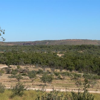 Looking west towards Adels Grove and the gorges
