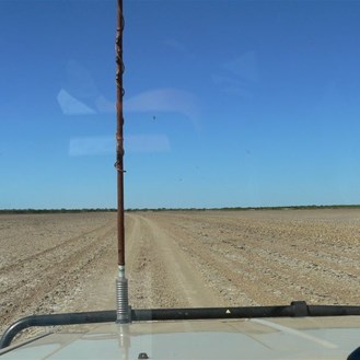Out on the mudflats.