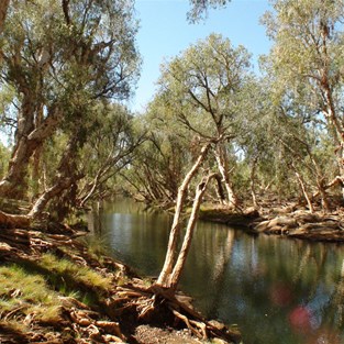The still pools of Running Waters (Eel Pools)