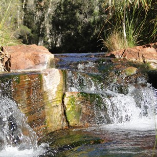 Gentle cascades of Fortescue Falls
