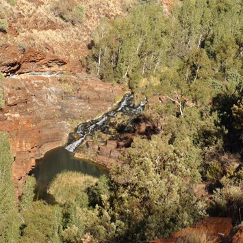 Looking down on Fortescue Falls